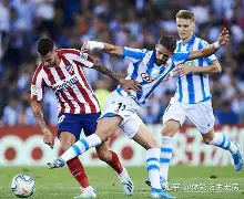 皇家社会训练开放日，窗口期回应争议引欢呼，NBA总决赛在即，资深球员宣示担当的简单介绍